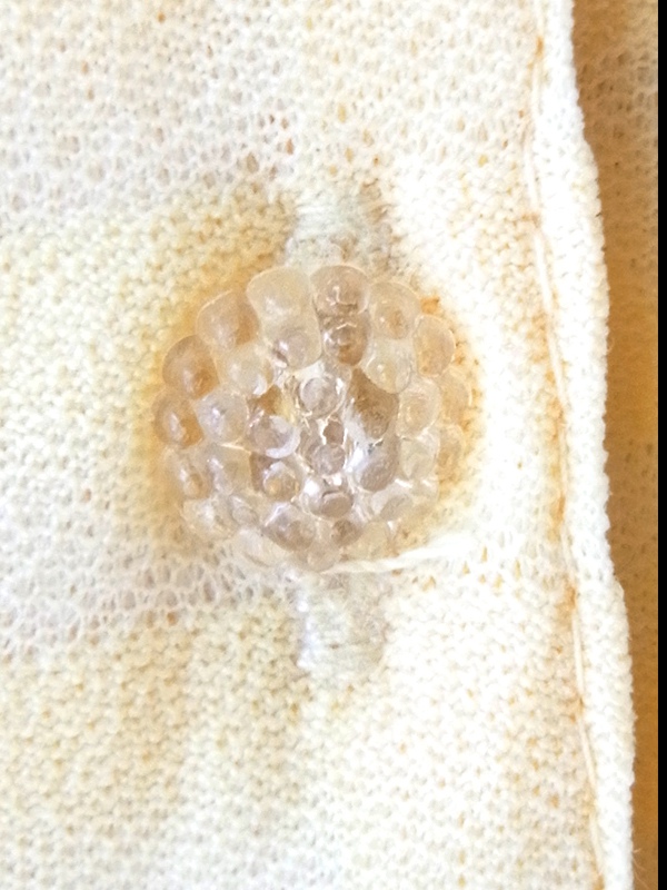 ヨーロッパ古着 ロンドン買い付け 70年代製 ペールイエロー X ボーダー ベルト付き ヴィンテージ ワンピース 24OM019